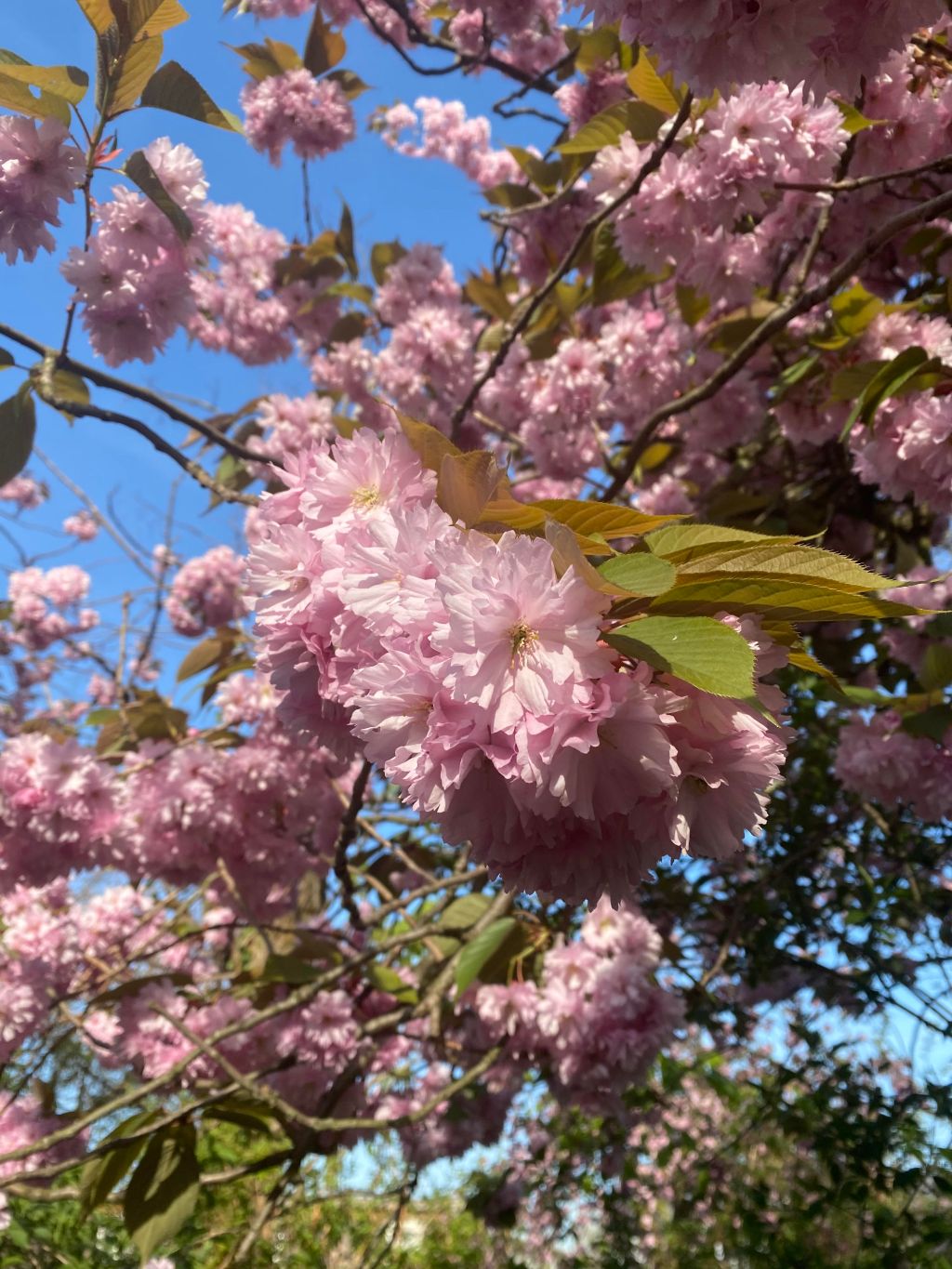 Life | Lets do it Challenge – Day&nbsp;2