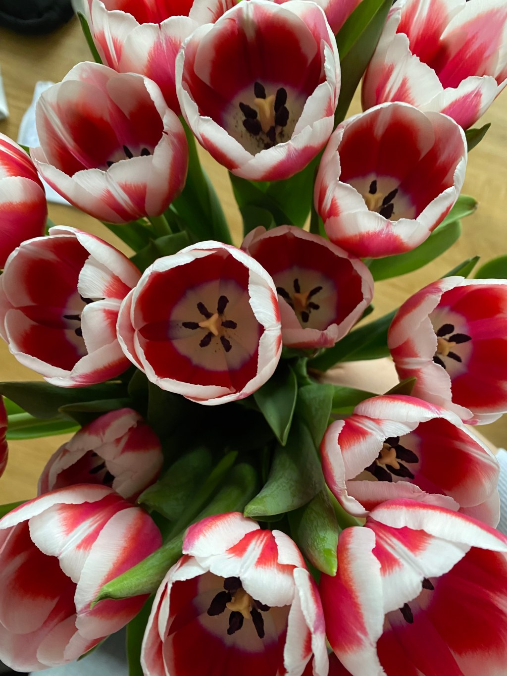 Life | Lets do it Challenge – Day&nbsp;3