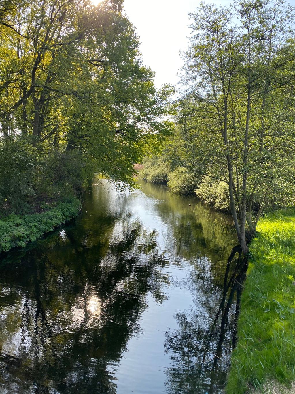 Life | Lets do it Challenge – Day 7 and&nbsp;8