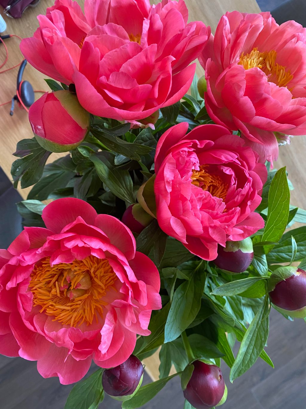 Life | Lets do it Challenge – Day 9 and&nbsp;10