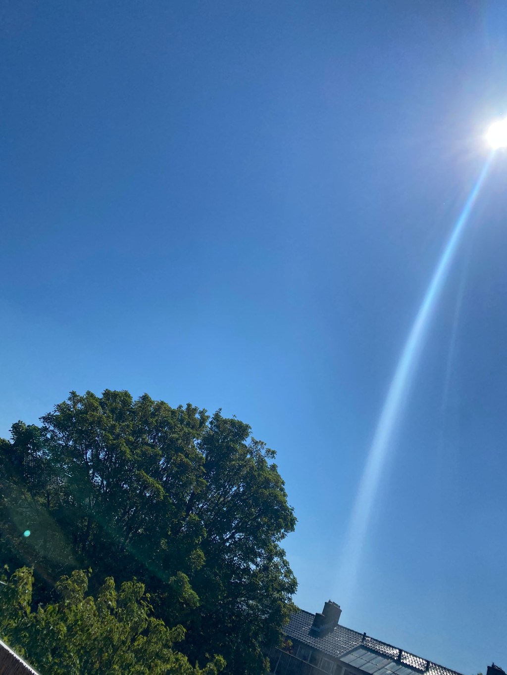 Life Update – June&nbsp;edition