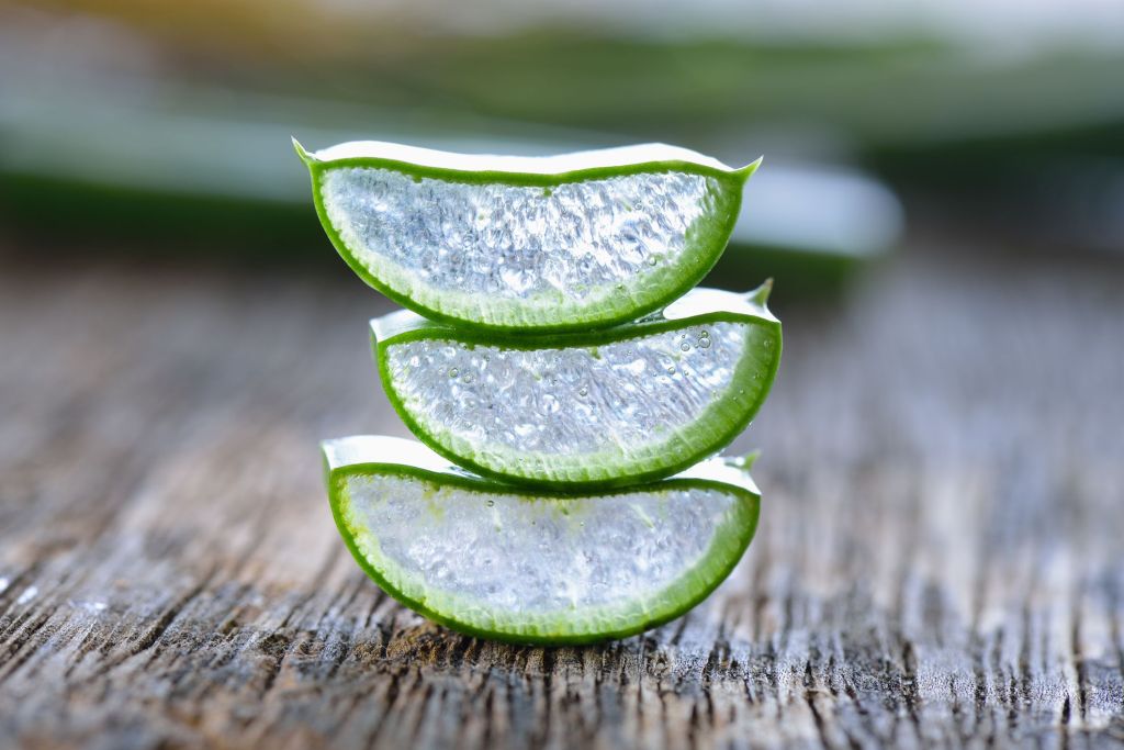 The 5 Best Benefits of Aloe Vera&nbsp;Gel
