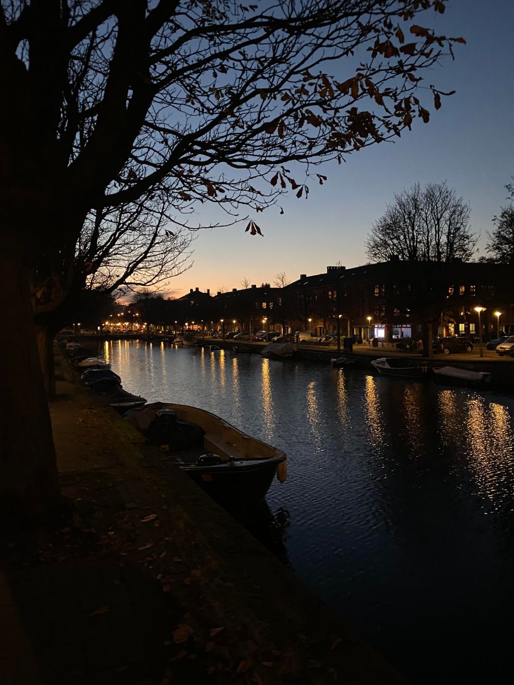 Life update –&nbsp;December